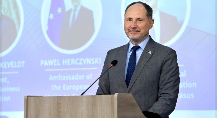ევროკავშირის ელჩი პაველ ჰერჩინსკი ევროკომისიის 9 დათქმაზე საუბრობს