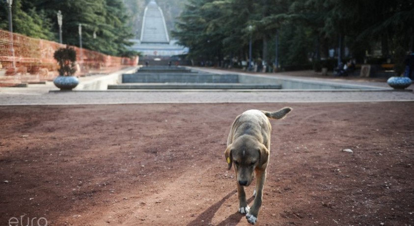 ვაკის პარკში სარეაბილიტაციო სამუშაოები მიმდინარეობს