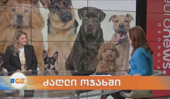 ძაღლი ოჯახში