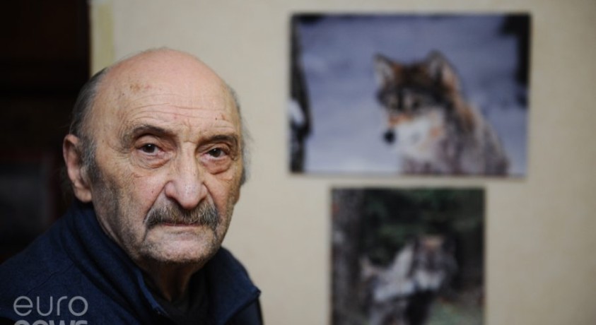 კაცი, რომელიც ტყეში მგლებთან ერთად ორი წელი ცხოვრობდა