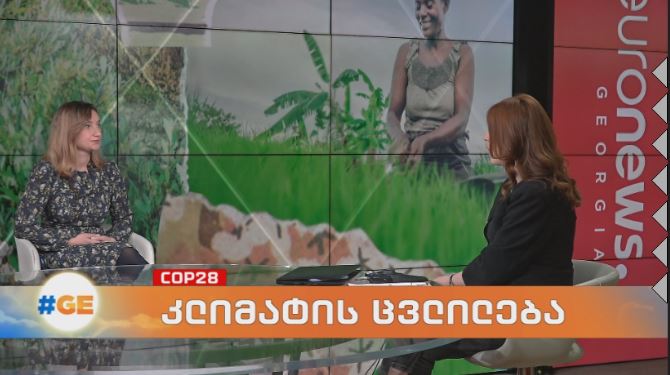 კლიმატის ცვლილება