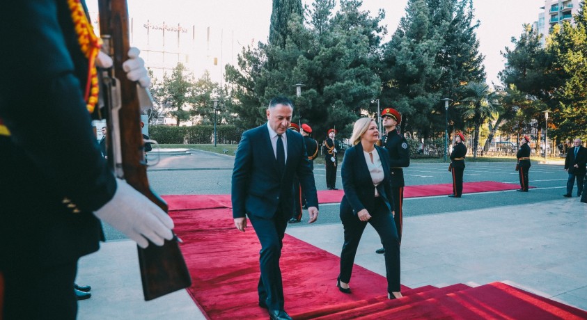 გერმანიის შინაგან საქმეთა ფედერალური მინისტრის ვიზიტი საქართველოში