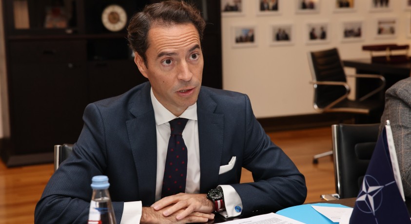 “ევროკომისიის მიერ საქართველოსთვის წარდგენილი 9 დათქმა ნატოს მოთხოვნებსაც ფარავს” – ხავიერ კოლომინა