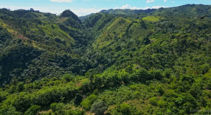 სამანა – დომინიკელთა რესპუბლიკის ზურმუხტისფერი ველური ბუნება