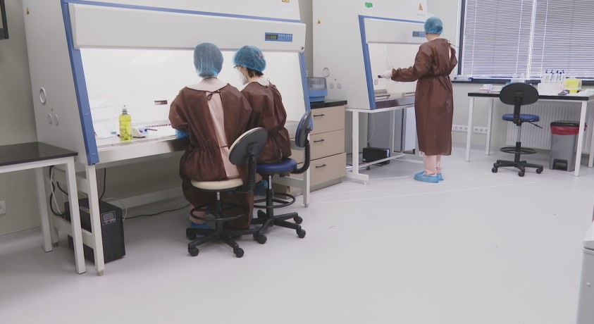 სეზონური ვირუსებიდან საქართველოში H1N1 და H1N3-ია გავრცელებული