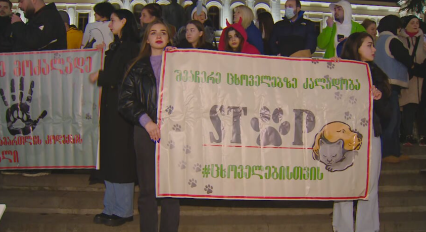 აქციის მონაწილეები: “უმკაცრესად დაისაჯოს ის პირი, ვინც მარნეულში ძაღლზე იძალადა”