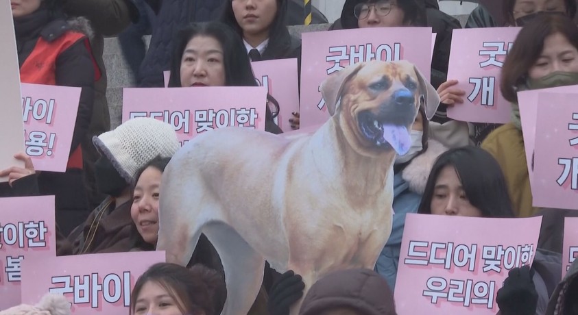 სამხრეთ კორეაში ძაღლის ხორცის წარმოება და გაყიდვა იკრძალება