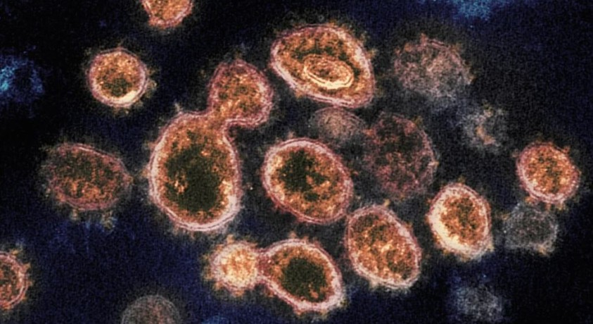 მსოფლიოში კოვიდის ახალი შტამით ინფიცირების შემთხვევები იზრდება