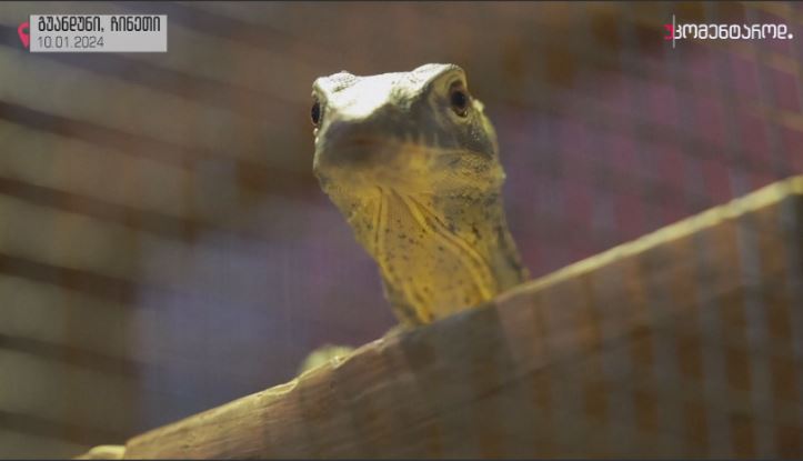 გუანდუნი, ჩინეთი