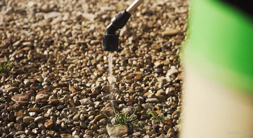 გლიფოსატი – მავნე ჰერბიციდი, რომელსაც ევროპაში ისევ იყენებენ