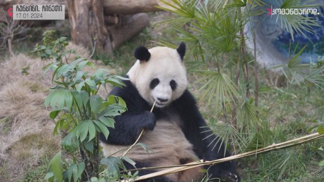 ჩუნცინი, ჩინეთი