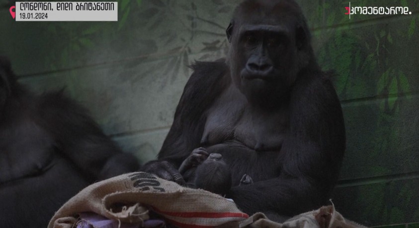 ლონდონი, დიდი ბრიტანეთი