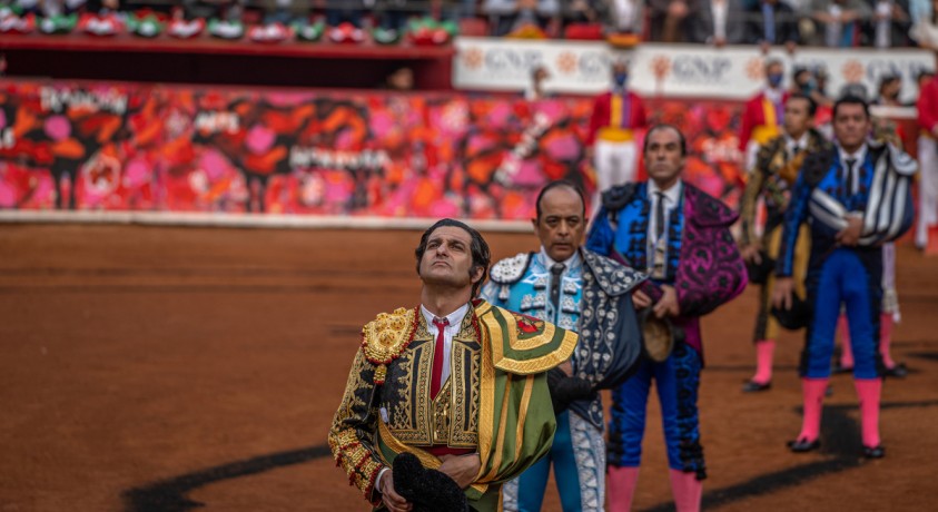 პროტესტის ფონზე მექსიკაში კორიდა დაბრუნდა