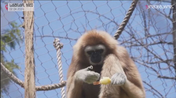 სანტიაგო, ჩილე