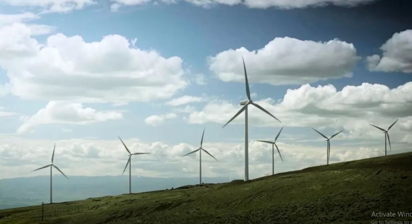 ქარის ენერგია ევროპაში – რეალური პროგრესი თუ  ცარიელი სიტყვები?