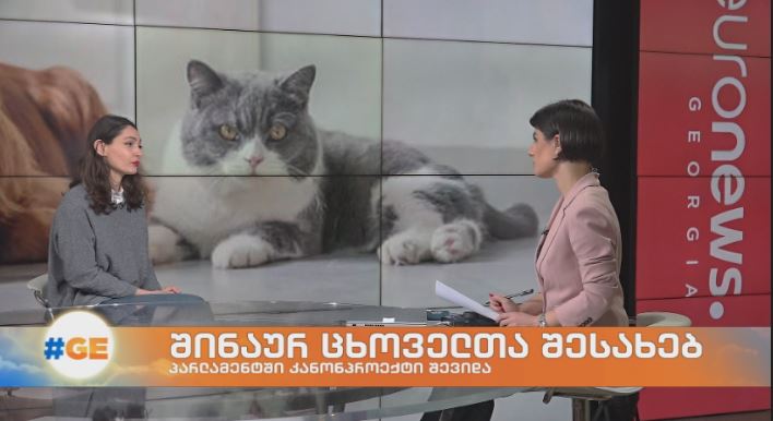 საქართველოს პარლამენტში უკვე დარეგისტრირდა კანონპროექტი შინაურ ბინადარ ცხოველთა შესახებ