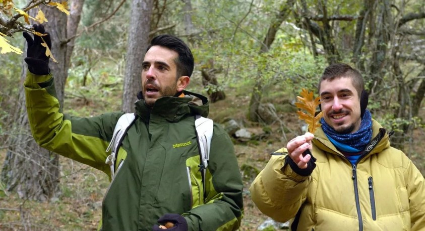 ესპანელი ბიოლოგი საკვებს ხელოვნებად აქცევს