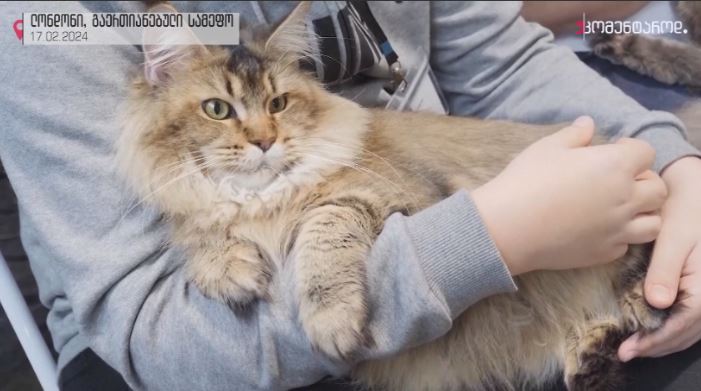 ლონდონი, გაერთიანებული სამეფო