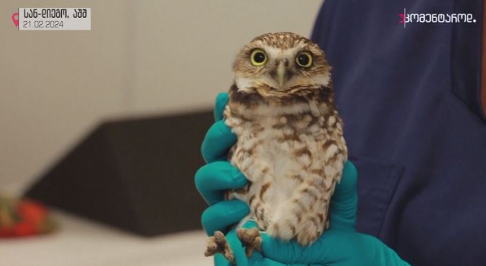 სან-დიეგო, აშშ