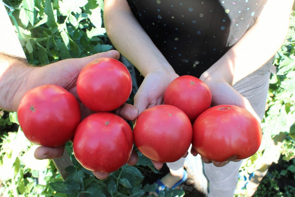 ევროკავშირი