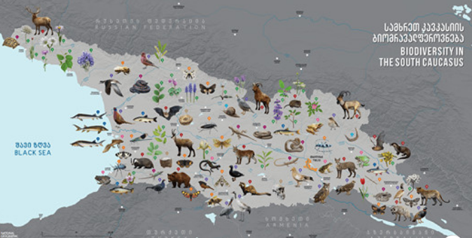 Screenshot_2021-02-17 National Geographic Magazine საქართველო – Posts Facebook