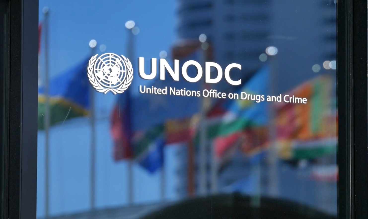 გაეროს ნარკოტიკებთან და დანაშაულთან ბრძოლის ოფისი