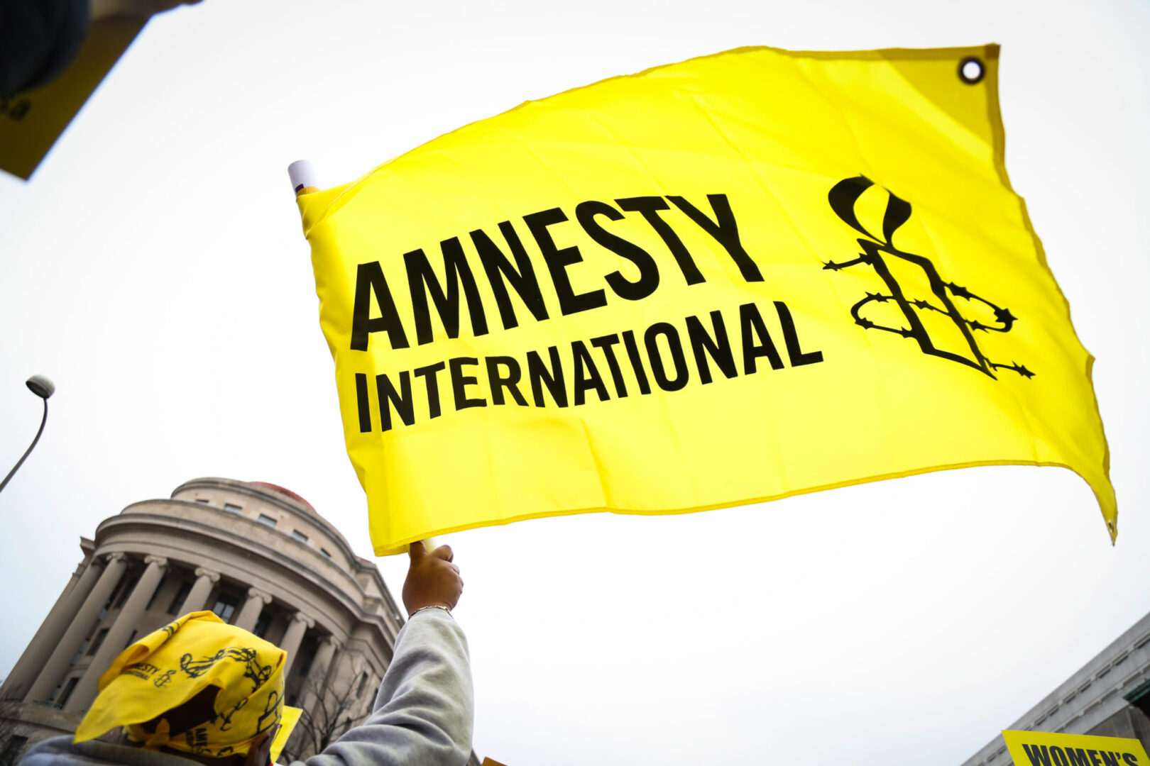 amnesty