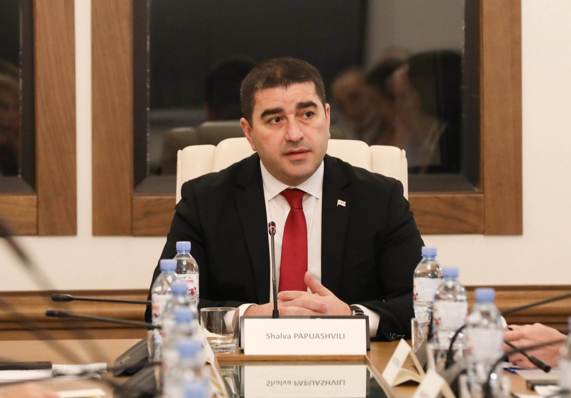 შალვა პაპუაშვილი