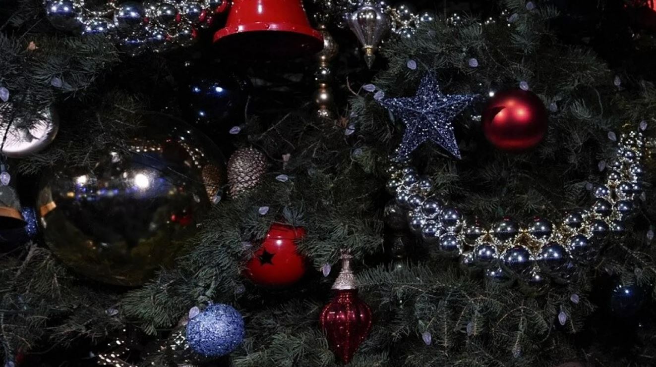 “ნუ შეჭამთ ნაძვის ხის წიწვებს”- ბელგიის სურსათის ფედერალური სააგენტო