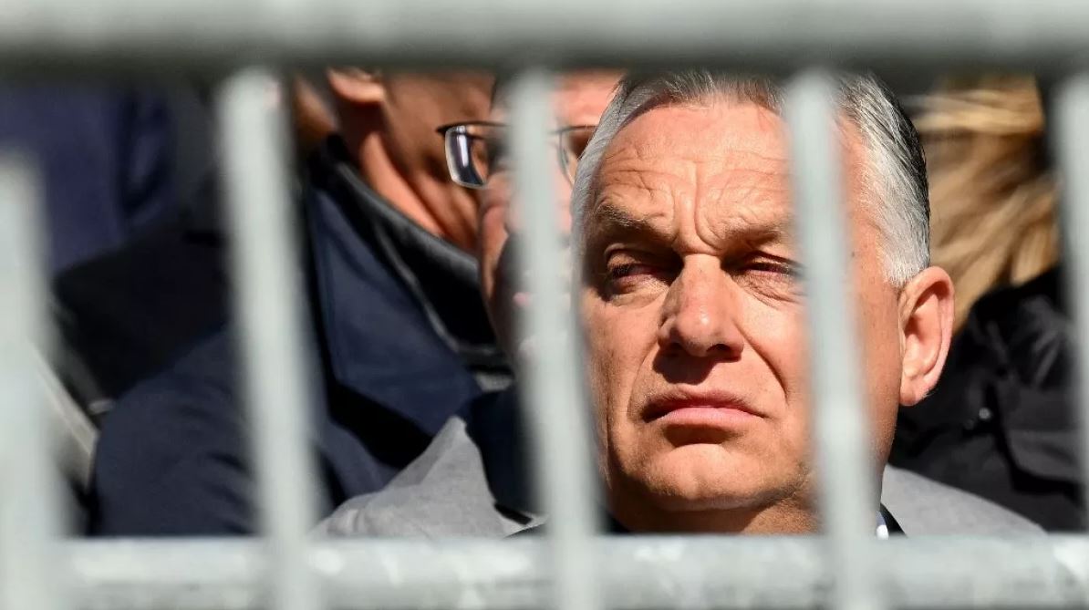 Copyright VINCENZO PINTO/AFP or licensors